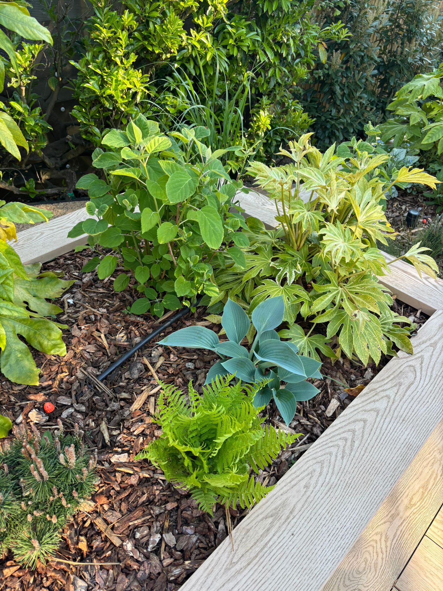 Plant Supply and Sourcing